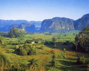 Valley Vinales Pinar del Rio